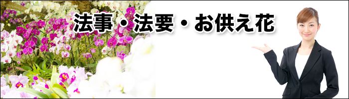 西福寺の供花・お悔み花 注文　画像